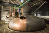 Alambics à whisky en cuivre dans la distillerie de whisky — Photo de stock