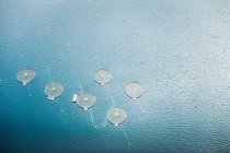 Vista aérea de las vainas en el agua del océano - foto de stock