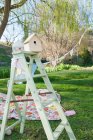Picnic blanket and ladder — Stock Photo
