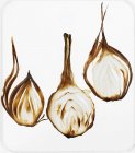 Close up shot of browned onion slices in frame — Stock Photo