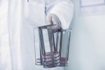 Wissenschaftler tragen Gestell mit Petrischalen im Labor — Stockfoto