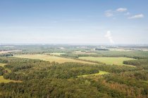 Blick auf den Wald bei Welzow — Stockfoto