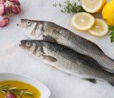 Sea bass with lemon, olive oil and herbs — Stock Photo