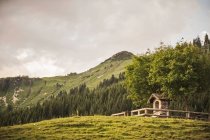 Cabane en rondins sur colline herbeuse — Photo de stock