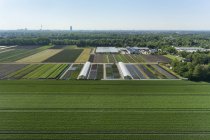 View of agriculture and greenhouses — Stock Photo