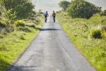 Vista trasera de los ciclistas en bicicleta por carretera rural - foto de stock
