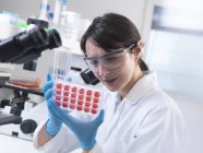 Scientist  viewing experimental cultures growing in multiwell tray in laboratory — Stock Photo