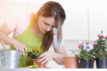 Mulher poda vasos plantas dentro de casa — Fotografia de Stock