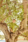 Souriant jeune garçon grimpant à un arbre — Photo de stock
