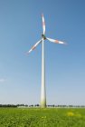 Вітрова турбіна на зеленому полі з прозорим блакитним небом — стокове фото