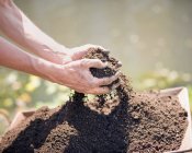 Hands cupping handful of soil — Stock Photo