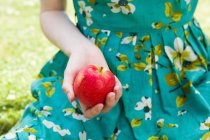 Обрезанное изображение женщины, держащей яблоко в руке — стоковое фото