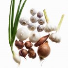 Garlic and onion bulbs — Stock Photo