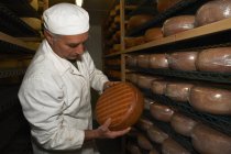 Senior homme vérifier fromage rond à l'usine de la ferme — Photo de stock