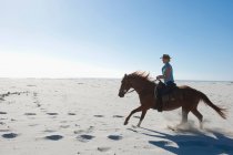 Horse riding in the sand — Stock Photo