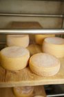 Rodas de queijo envelhecimento na loja — Fotografia de Stock