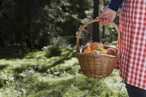 Frau hält Korb mit frisch gepflückten Pilzen im Wald — Stockfoto