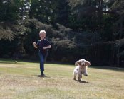 Garçon jouer avec chien dans la cour arrière — Photo de stock