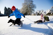 Діти грають на санях у снігу — стокове фото