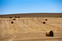 Heuballen in ländlichem Getreidefeld mit klarem blauen Himmel — Stockfoto