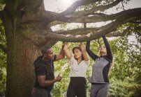 Personal trainer instructing two women on pull ups using park tree branch — Stock Photo