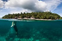 Buceador nadando en aguas tropicales - foto de stock