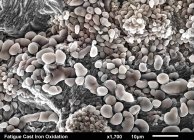 Ferro fundido superfície fraturada. estrias de fadiga sob corrosão de óxido de ferro imaged em um microscópio eletrônico de varredura — Fotografia de Stock