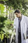 Scienziato che esamina le piante presso l'impianto di ricerca sulla crescita delle piante — Foto stock