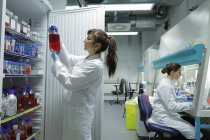 Técnicas del laboratorio de biología mirando las muestras de prueba - foto de stock