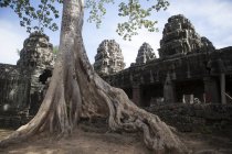 Ancien temple avec grande racine d'arbre — Photo de stock