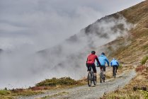 Tres hombres en bicicleta de montaña, Valais, Suiza - foto de stock