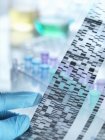 Wissenschaftler hält DNA-Gel vor Proben für Tests im Labor — Stockfoto