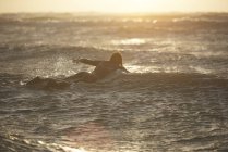 Giovane surfista di sesso maschile che remava in mare su tavola da surf, Devon, Inghilterra, Regno Unito — Foto stock