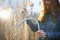 Человек собирает пшеницу с косой — стоковое фото
