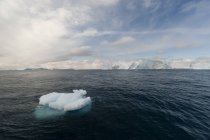 Iceberg alla luce del sole a Ilulissat icefjord — Foto stock