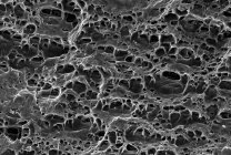 Micrographie électronique à balayage de diffusion du nickel — Photo de stock