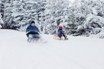 Man and boy sledding downhill — Stock Photo