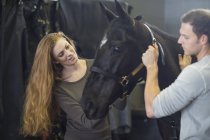 Male and female stablehands adjusting halter on horse in stables — Stock Photo