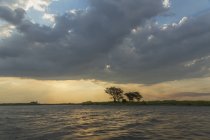 Wasser und silhouettierte Bäume — Stockfoto