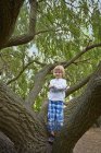 Retrato de niño de pie en el árbol del bosque - foto de stock