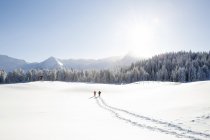 Pistes de neige du couple de personnes âgées marchant vers les arbres et la chaîne de montagnes, Sattelbergalm, Tyrol, Autriche — Photo de stock