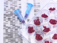 Campioni di carne per il test del DNA nel laboratorio di norme alimentari — Foto stock