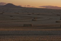 Вид стогов сена в поле и горах на закате — стоковое фото