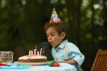 Хлопчик дме свічки на день народження торт на вечірці на день народження саду — стокове фото