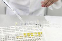 Cropped image of female hand pipetting yellow liquid into test tubes in lab — Stock Photo