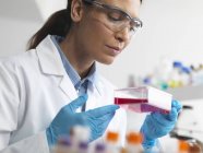 Клеточный биолог держит в руках колбу, содержащую стволовые клетки, культивируемые в красной среде роста, исследуя болезни — стоковое фото