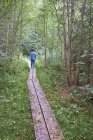 Rückansicht kleiner Junge erkundet Waldweg — Stockfoto