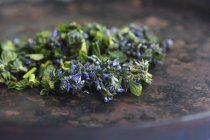 Bugleweed cueilli avec des fleurs et des feuilles sur la surface rustique — Photo de stock