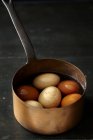 Variety of chicken eggs with water in pan — Stock Photo