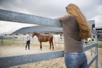 Young woman watching stablehand train horse in paddock ring — Stock Photo